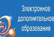 В области внедрено инновационное решение в сфере дополнительного образования